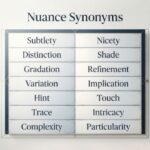 25 Other Ways to Say "Nuance" Examples and Usage 