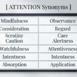 25 Synonyms for "Attention" With Examples