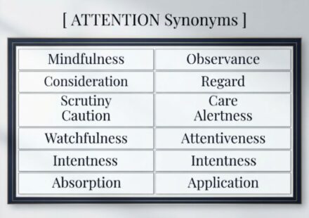 25 Synonyms for "Attention" With Examples