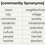 25 Synonyms for "Community" With Examples