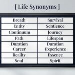 25 Synonyms for "Life" With Examples
