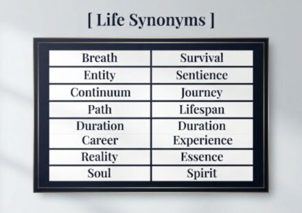25 Synonyms for "Life" With Examples