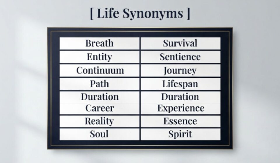 25 Synonyms for "Life" With Examples