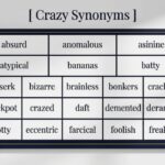 30 Synonyms for “Crazy” With Examples A Practical Guide for Every Speaker
