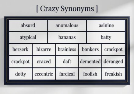 30 Synonyms for “Crazy” With Examples A Practical Guide for Every Speaker
