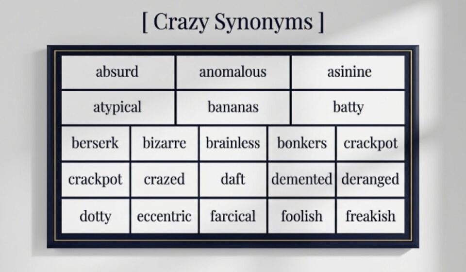 30 Synonyms for “Crazy” With Examples A Practical Guide for Every Speaker
