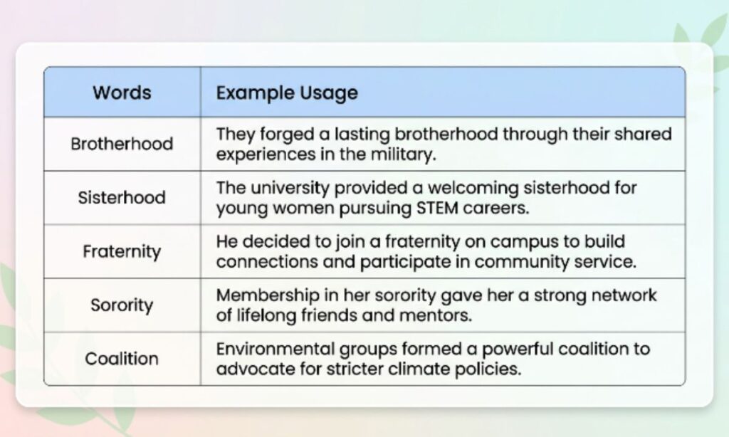 30 Synonyms for Society and How to Use Them