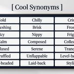 40 Cool Synonyms Better Words for Every Meaning of Cool
