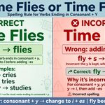 Time Flies or Time Flys Which Spelling Is Correct