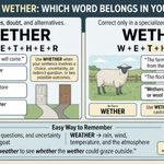 Whether or Wether Whats the Real Difference